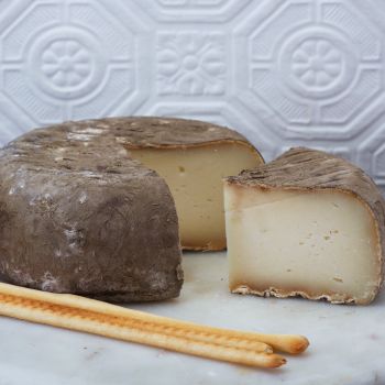 Olde Hudson - Garrotxa - artisanal cheese